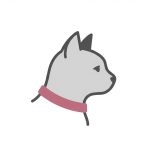 Kedi Ürünleri