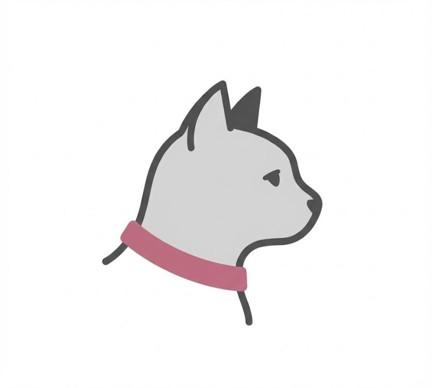 Kedi Ürünleri
