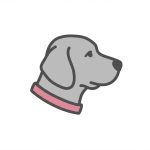 Köpek Ürünleri