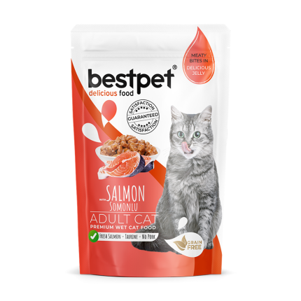 Bestpet Jöleli Somonsuz Kedi Yaş Maması 85 Gr